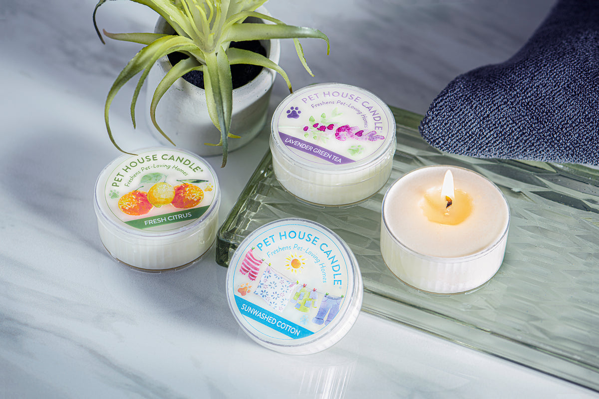 Mini Candles Pet Friendly Candles