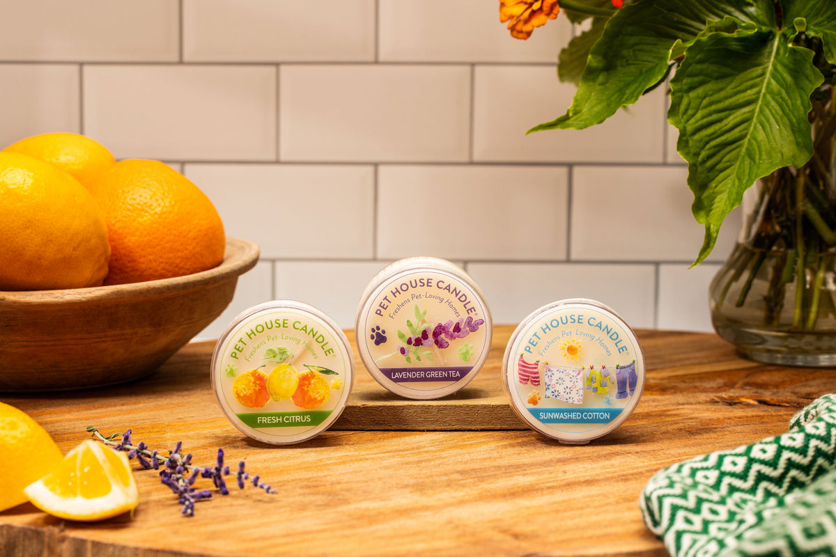 Pet House by One Fur All Value Packs