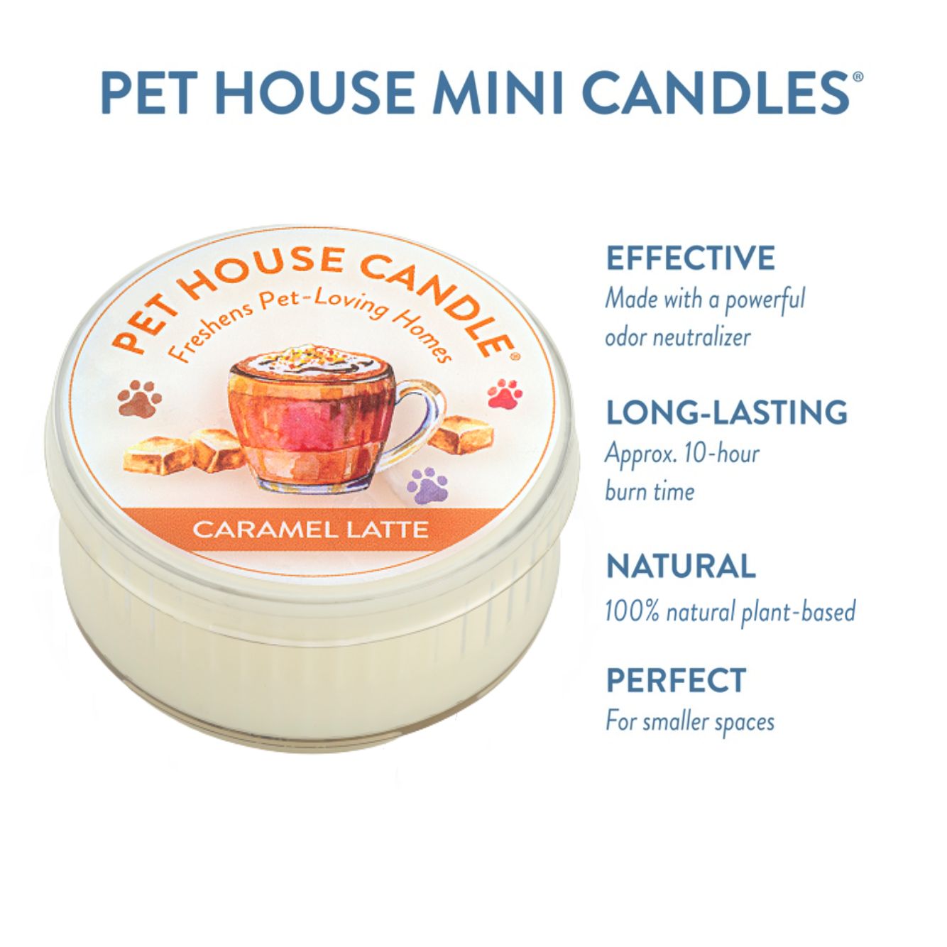 Caramel Latte Mini Candle Infographics