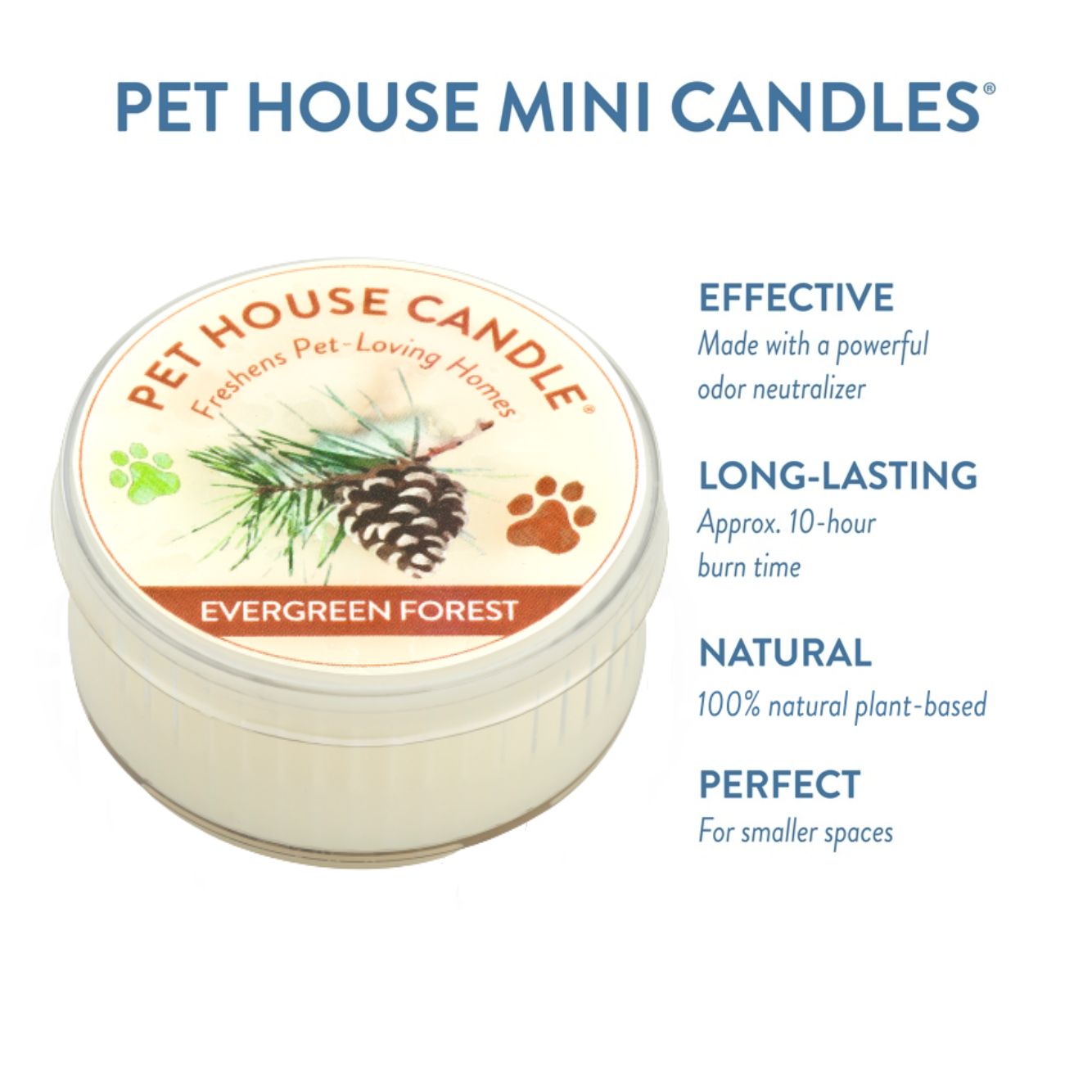 Evergreen Forest Mini Candle infographics