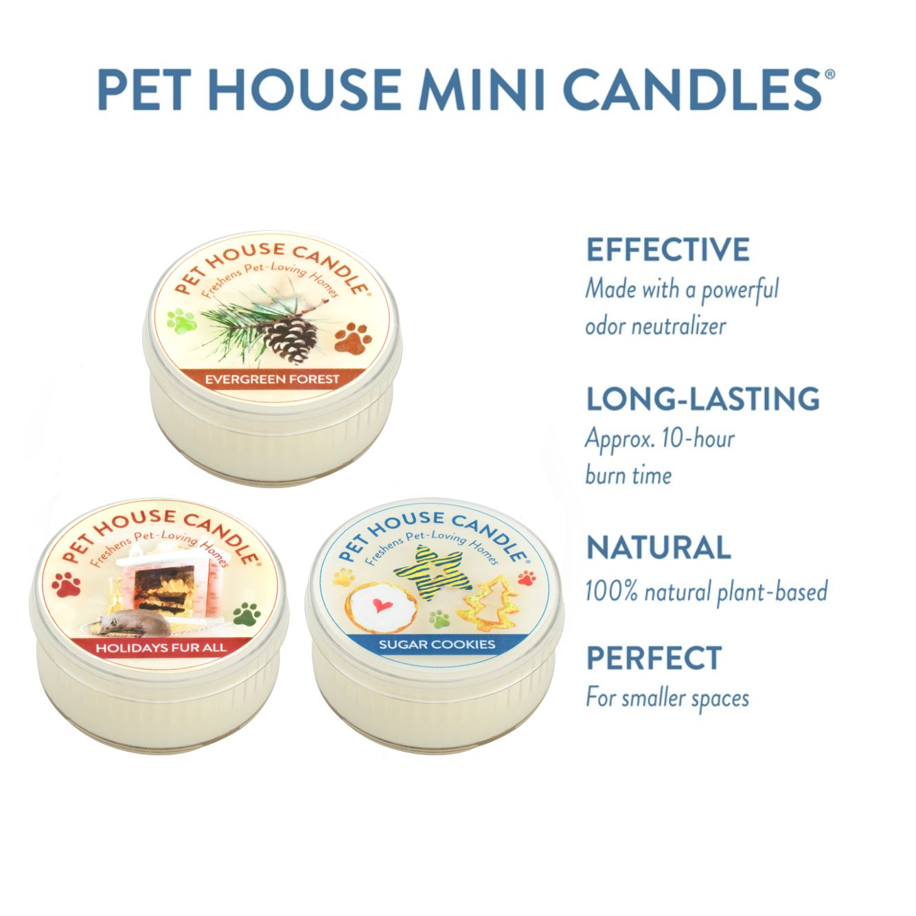 Winter Mini Candle Sampler infographics