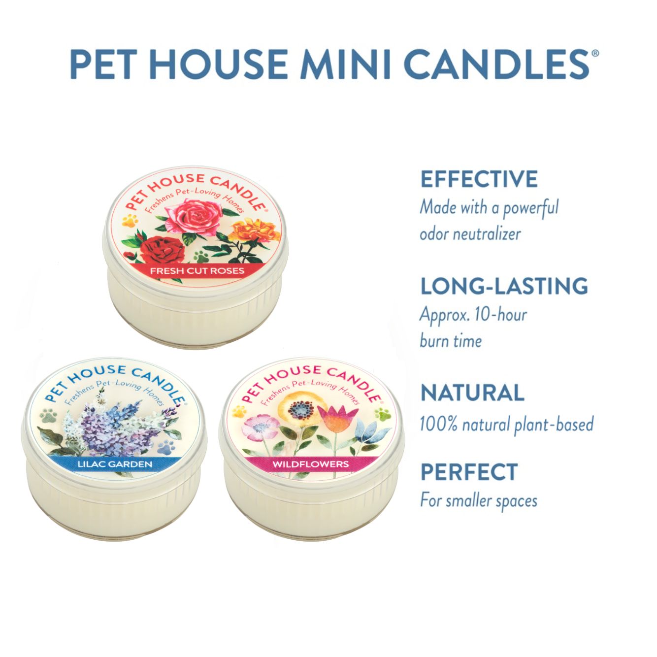 Floral Mini Candle Sampler: Mini 3 Pack - Floral Mix infographics