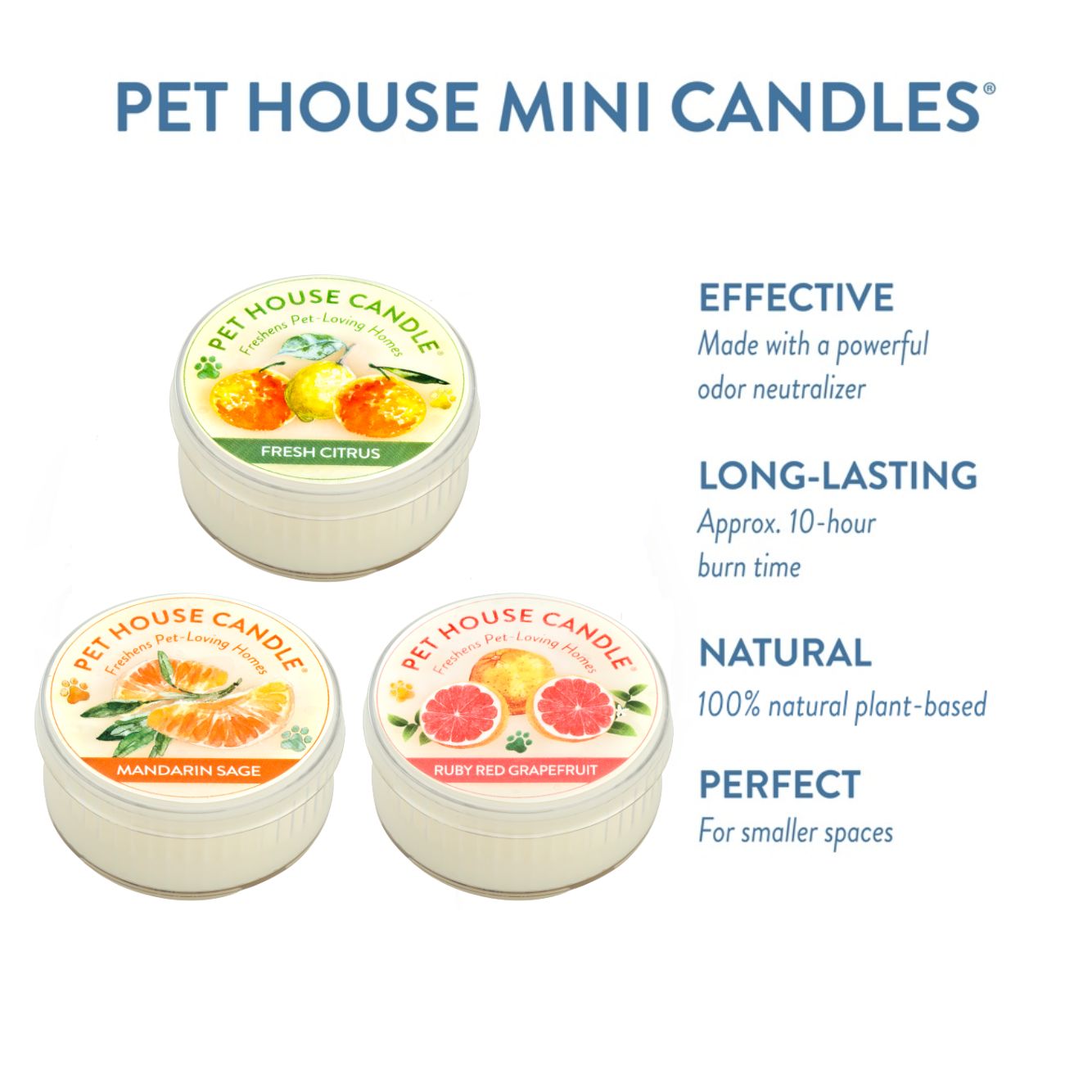 Citrus Mini Candle Sampler infographics