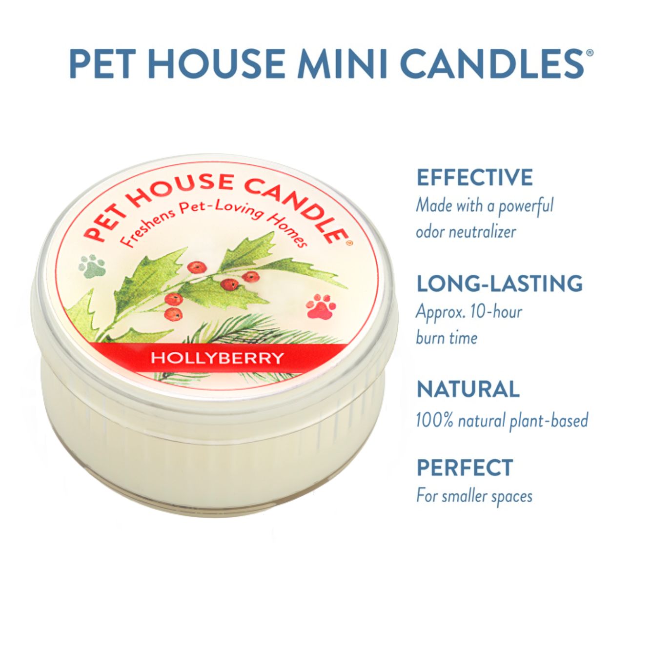 Hollyberry Mini Candle infographics