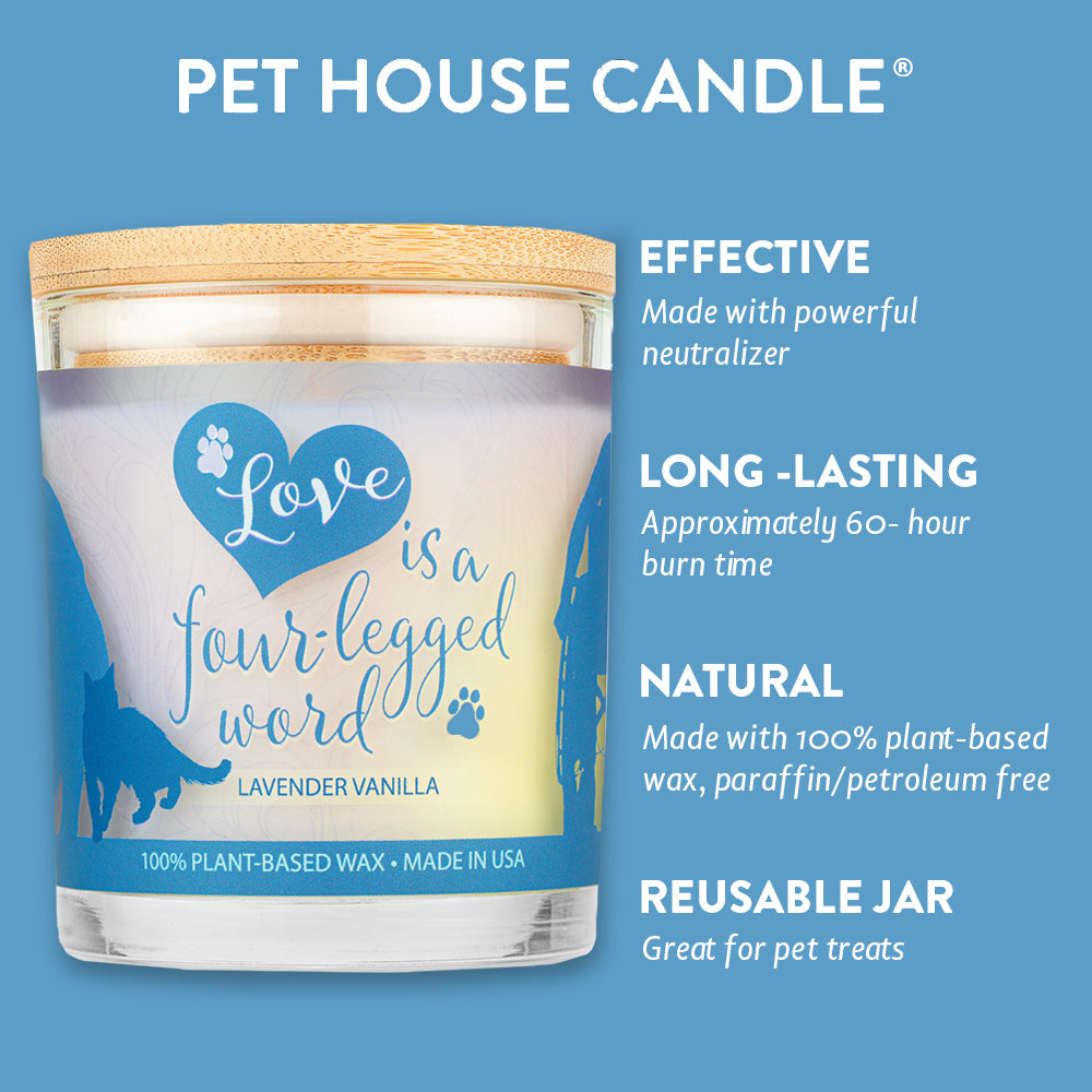 Lavender Vanilla Candle infographics with sky blue background