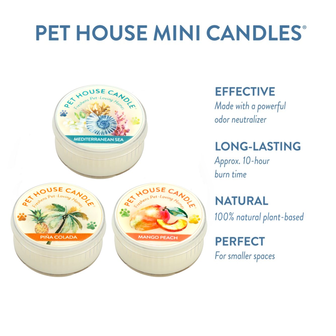 Summer Mini Candle Sampler infographics