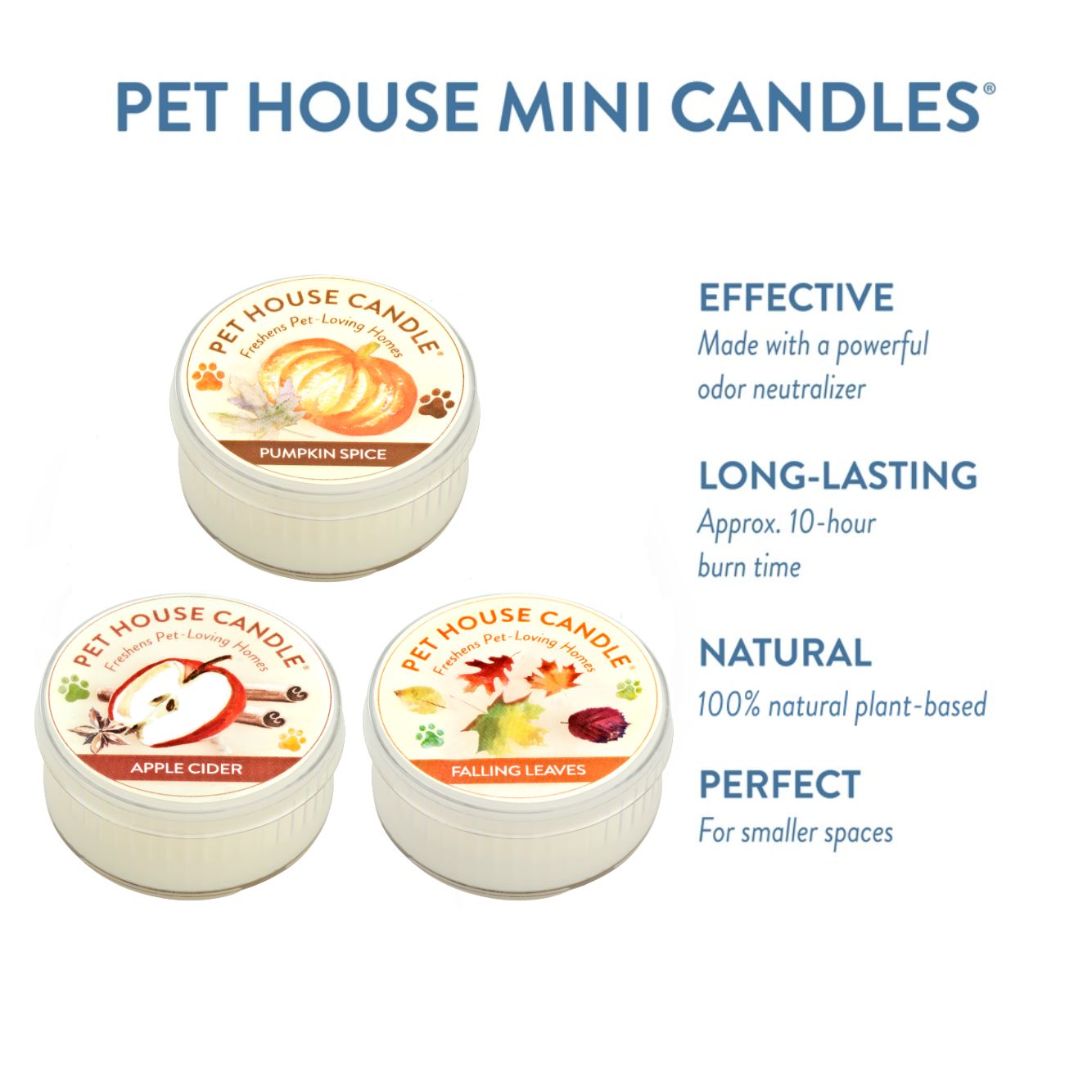 Fall Mini Candle Sampler infographics