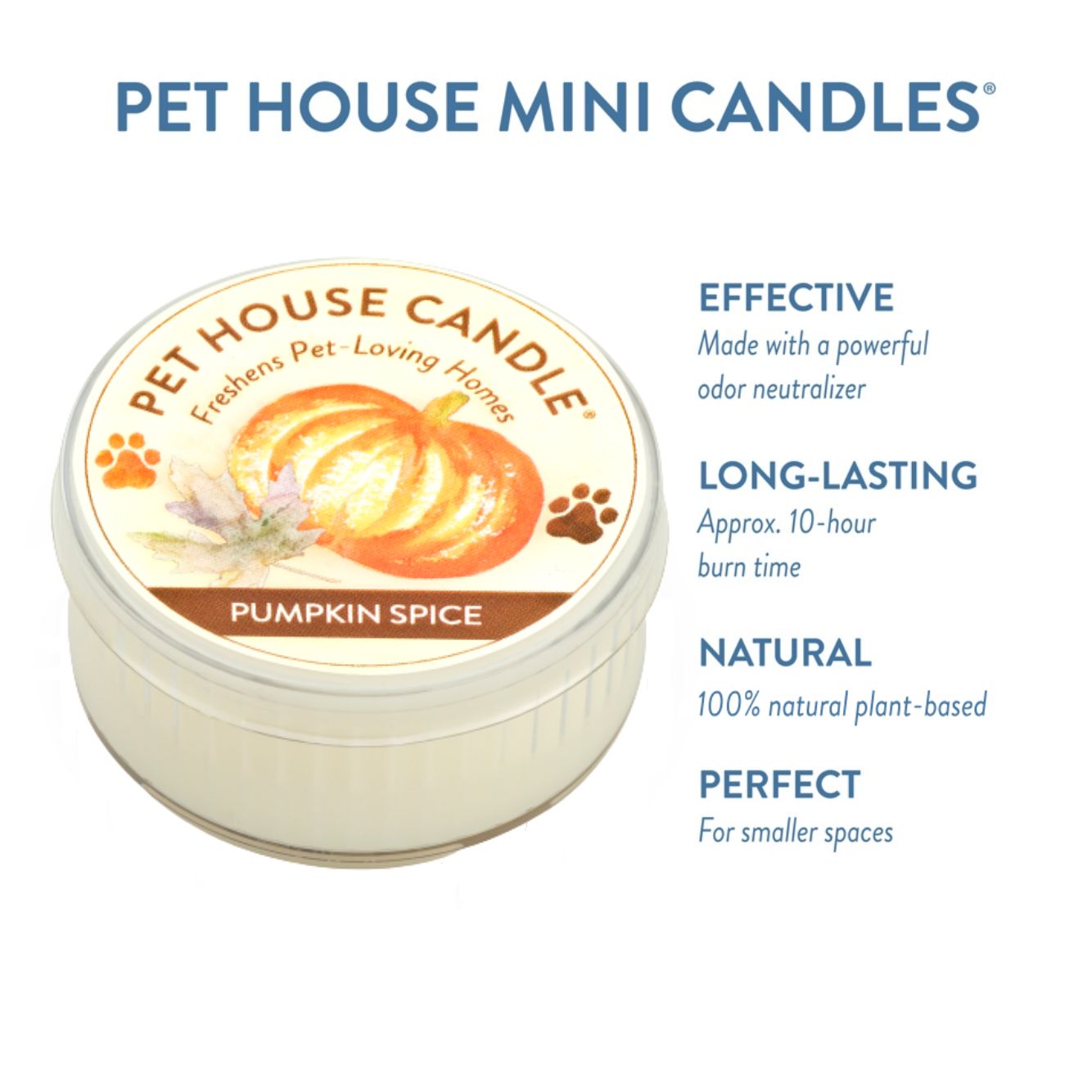 Pumpkin Spice Mini Candle infographics