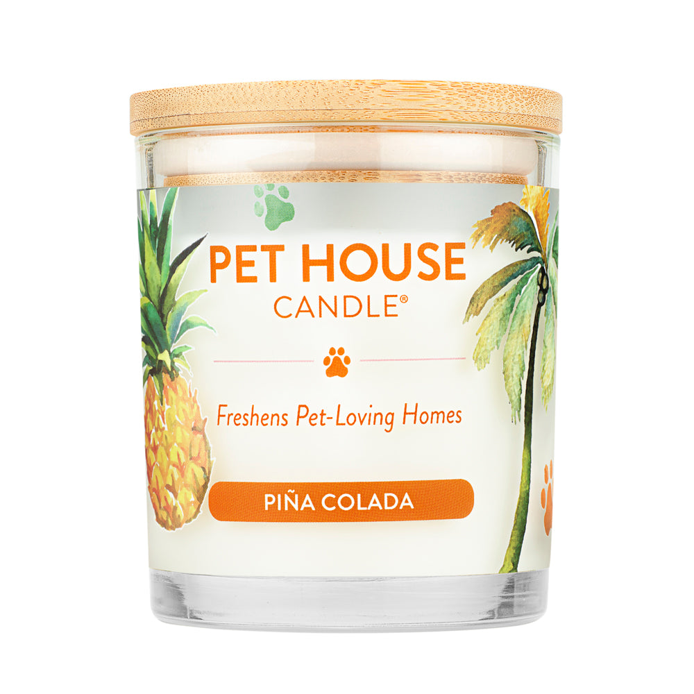 colada pineapple vase planter Pet House Summer Candle, Pina Colada, 9-oz