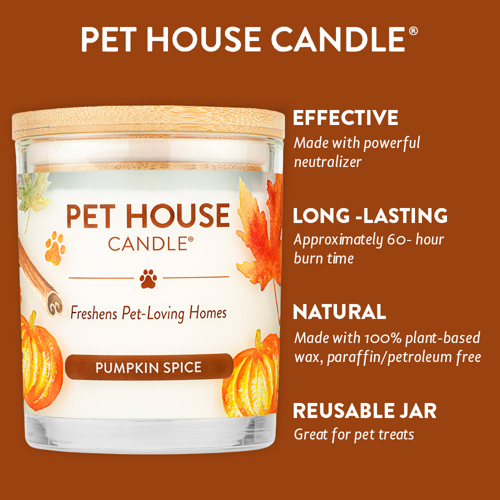 Pumpkin Spice Candle infographics