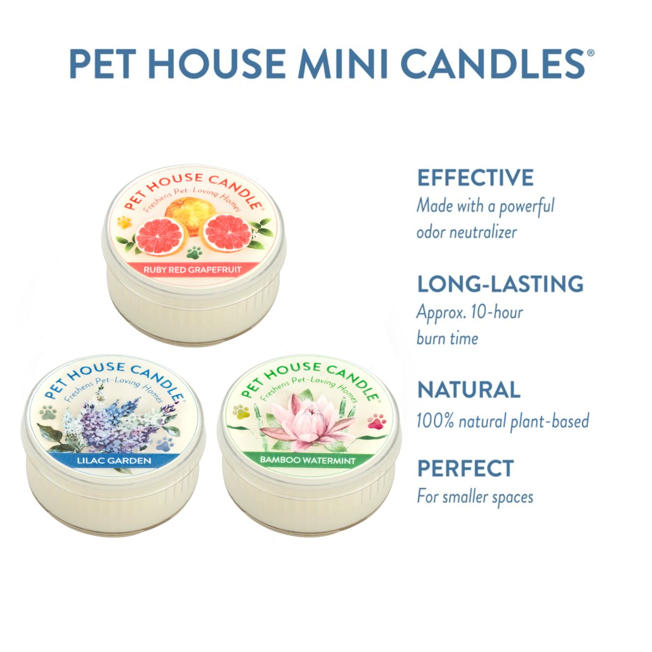Spring Mini Candle Sampler inofgraphics