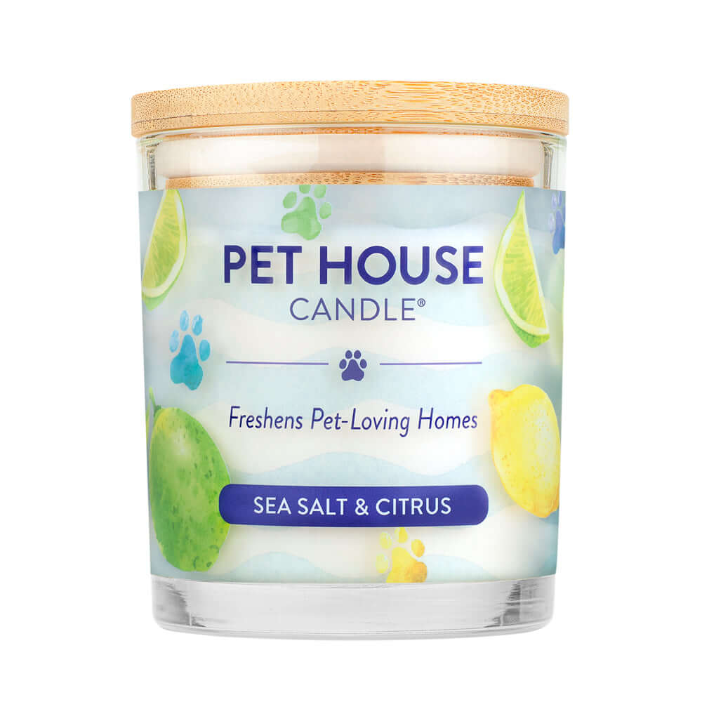 Sea Salt & Citrus Pet House Candle: 100% Natural Plant-Based Wax