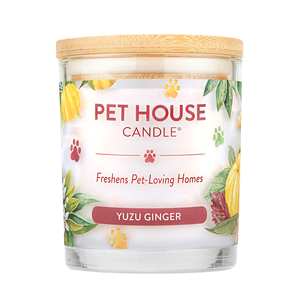 Yuzu Ginger Pet House Candle: Pet Odor Candle 100% Plant-Based Wax