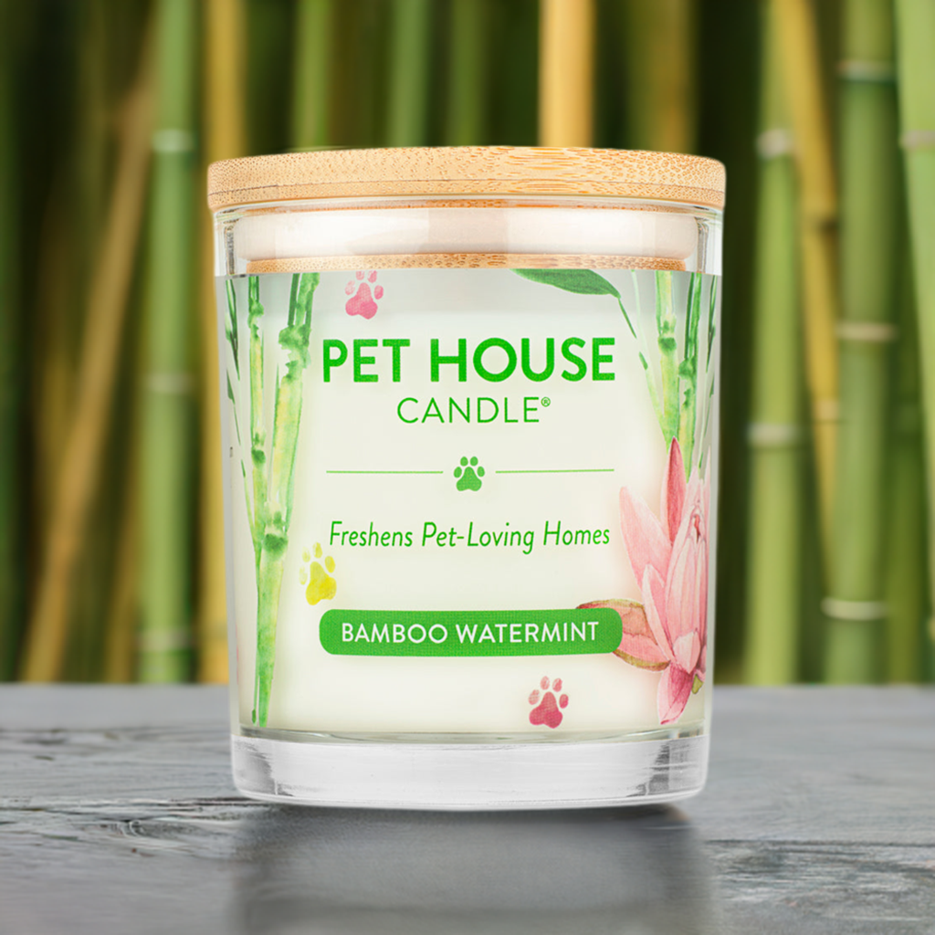 Bamboo Watermint Pet House Candle on a stone surface
