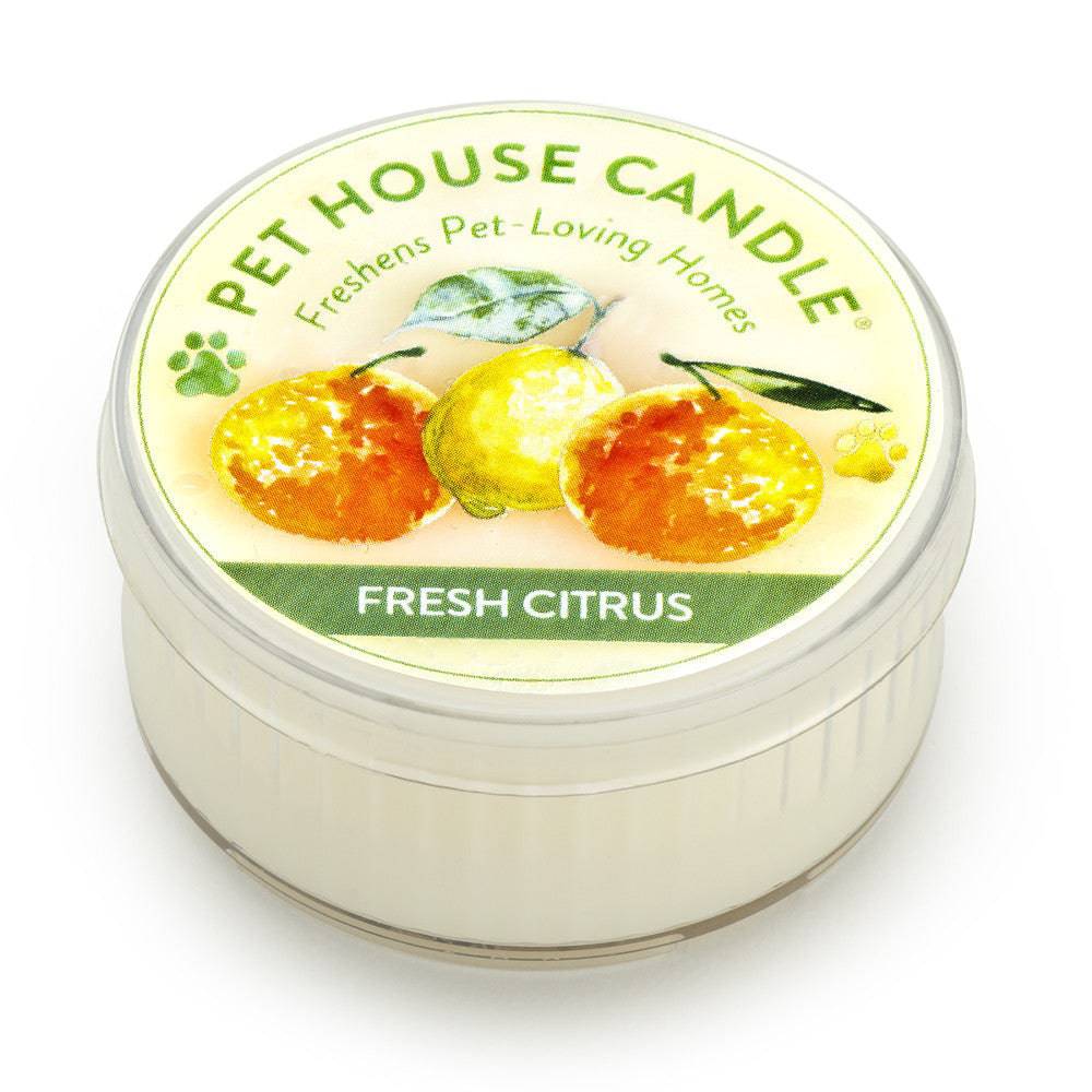 Fresh Citrus Mini Candle