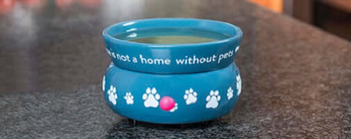 What are the Different Types of Wax Warmers?