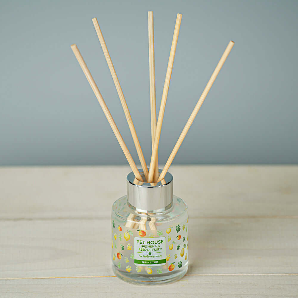 What are Reed Diffusers and How do I Use Them?