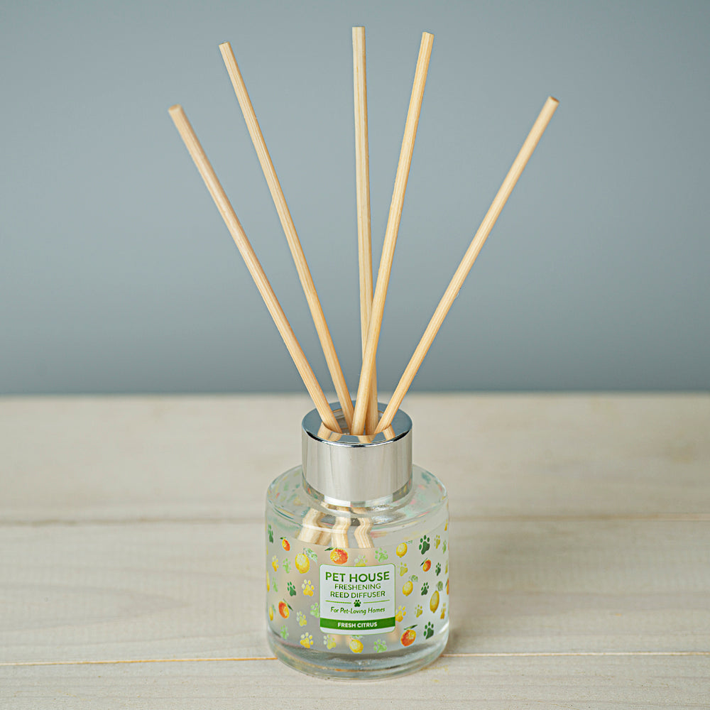 What are Reed Diffusers and How do I Use Them?