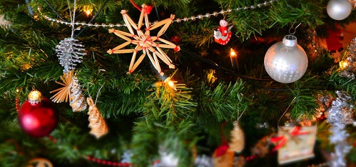 Avoid These Holiday Hazards for Pets