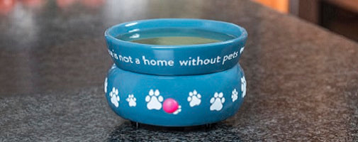 What are the Different Types of Wax Warmers?