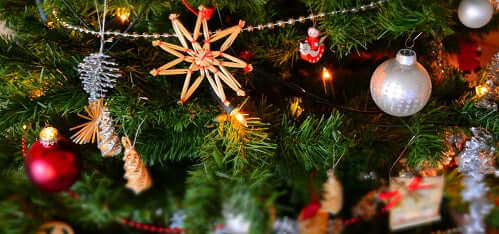 Avoid These Holiday Hazards for Pets