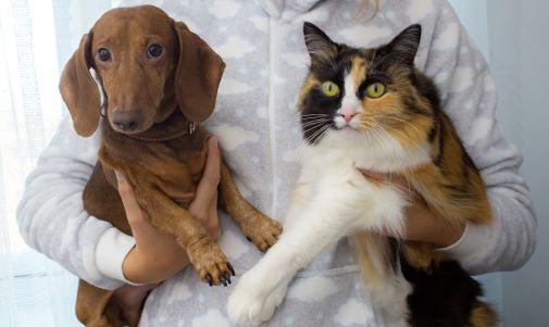 Titer Testing for Pets: A Smart Choice for Their Health and Your Wallet