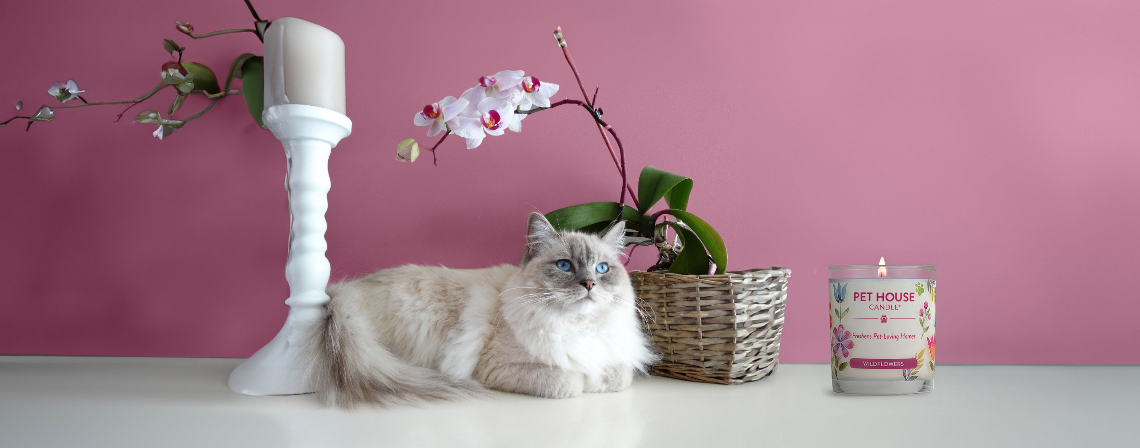 Spring Fragrances