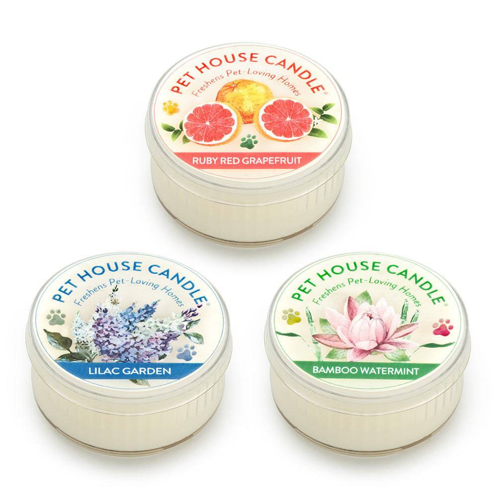 Pet House Mini Candles for spring