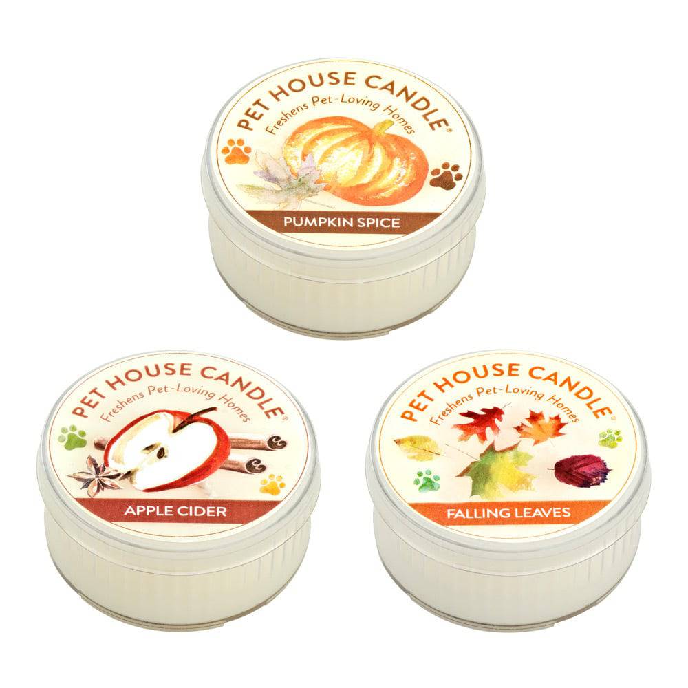 Fall fragrance mini candles