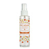 Apple Cider Room Spray