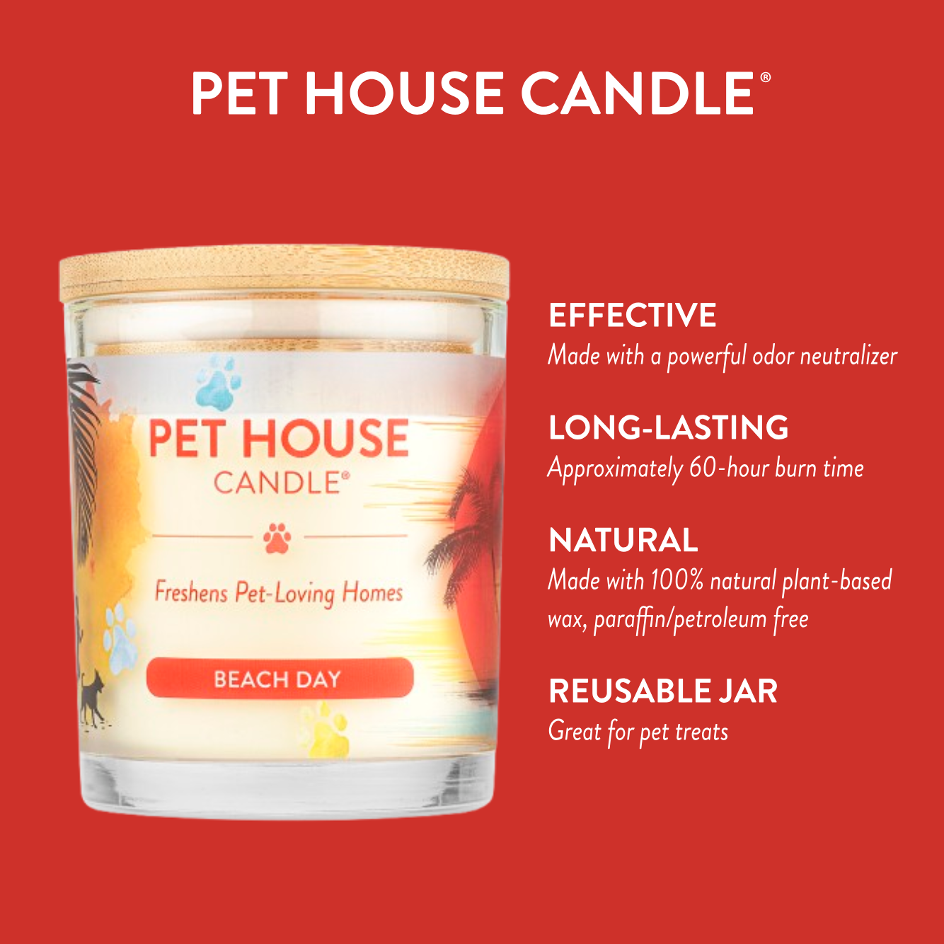 Beach Day Candle Infographics