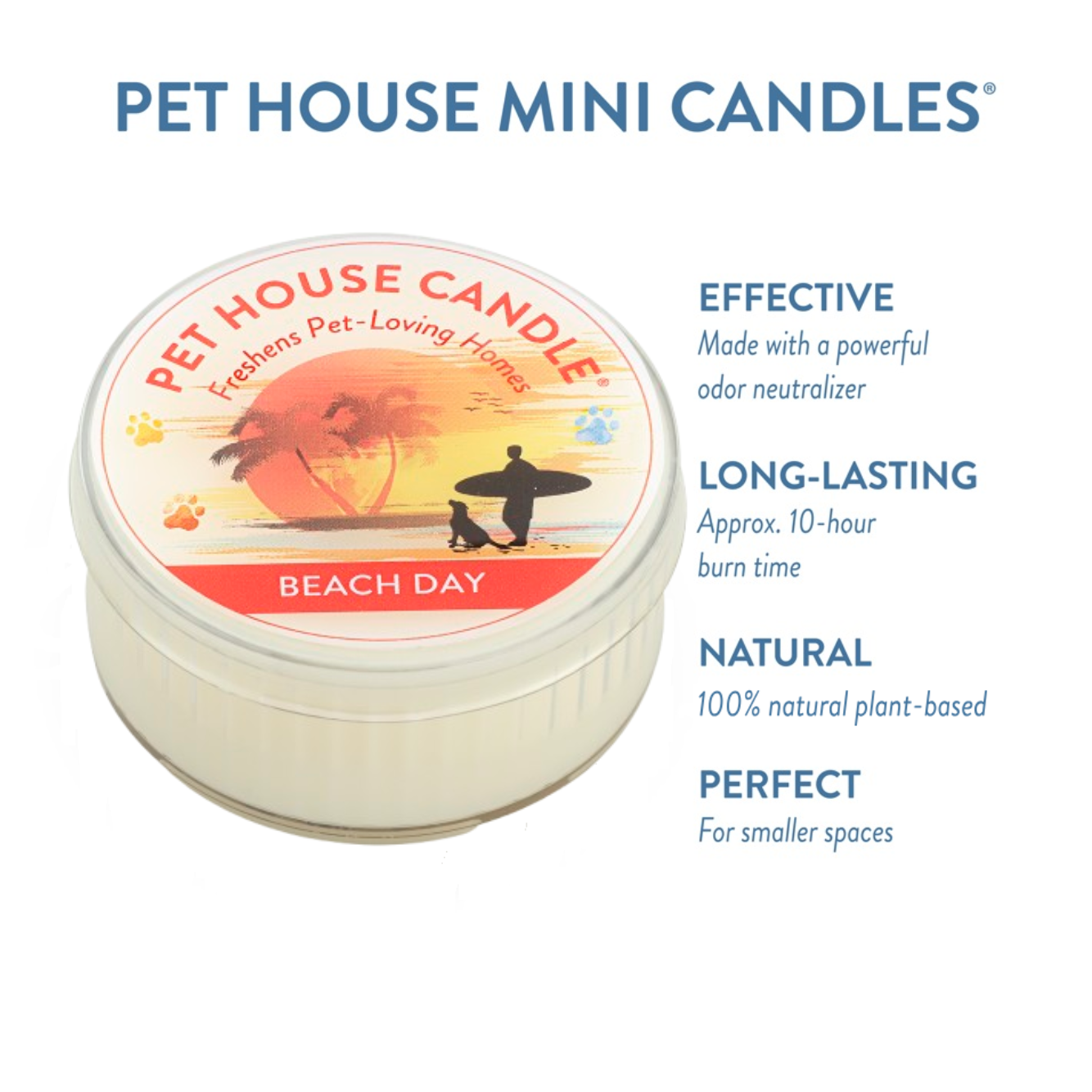 Beach Day Mini Candle Infographics
