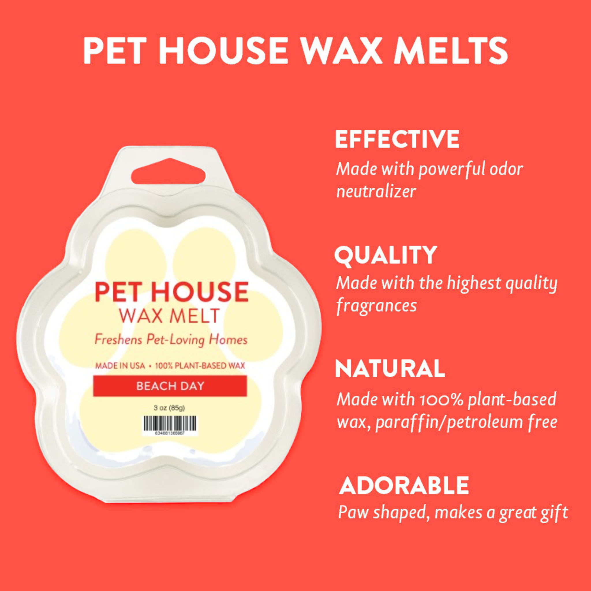 Beach Day Pet House Infographics