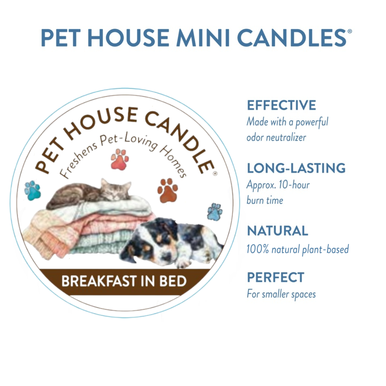 Breakfast in Bed infographics