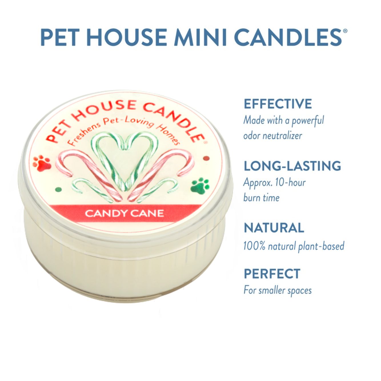 Candy Cane Mini Candle Infographics