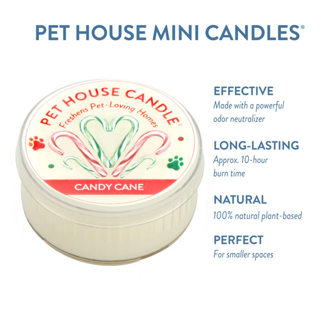 Candy Cane Mini Candle Infographics