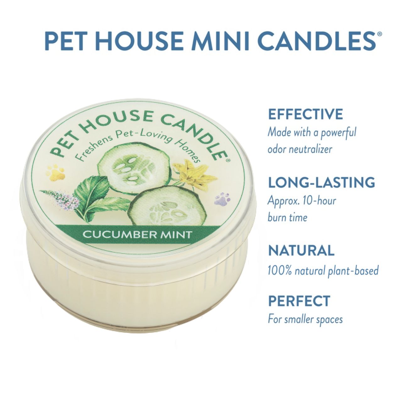Cucumber Mint Mini Candle infographics