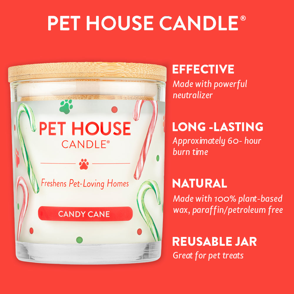 Candy Cane Candle infographics