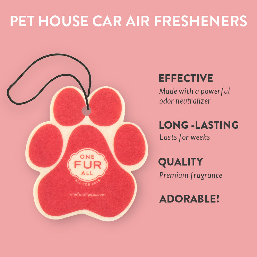 Candy Cane Car Air Freshener infographics