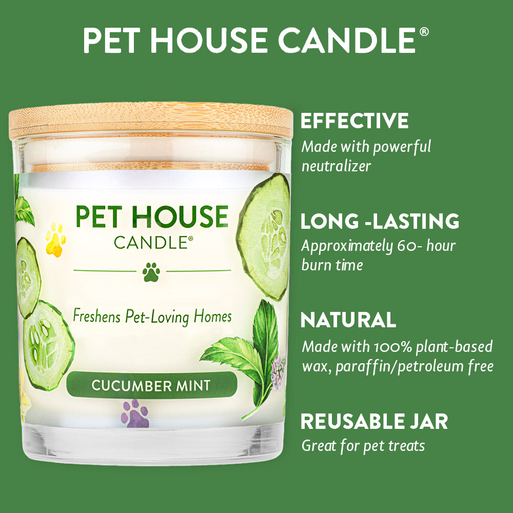 Cucumber Mint Candle infographics