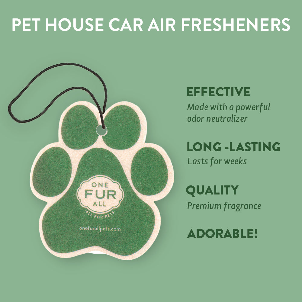 Cucumber Mint Car Air Freshener infographics