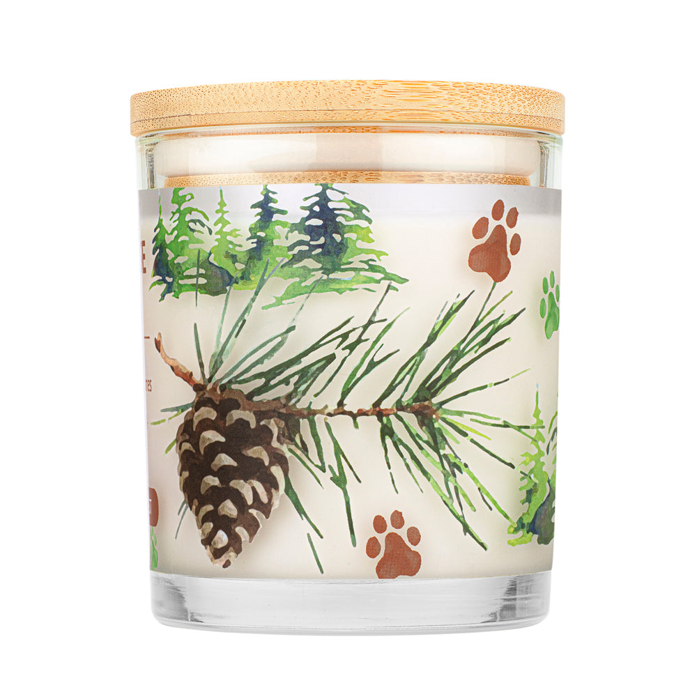 Evergreen Forest Back
