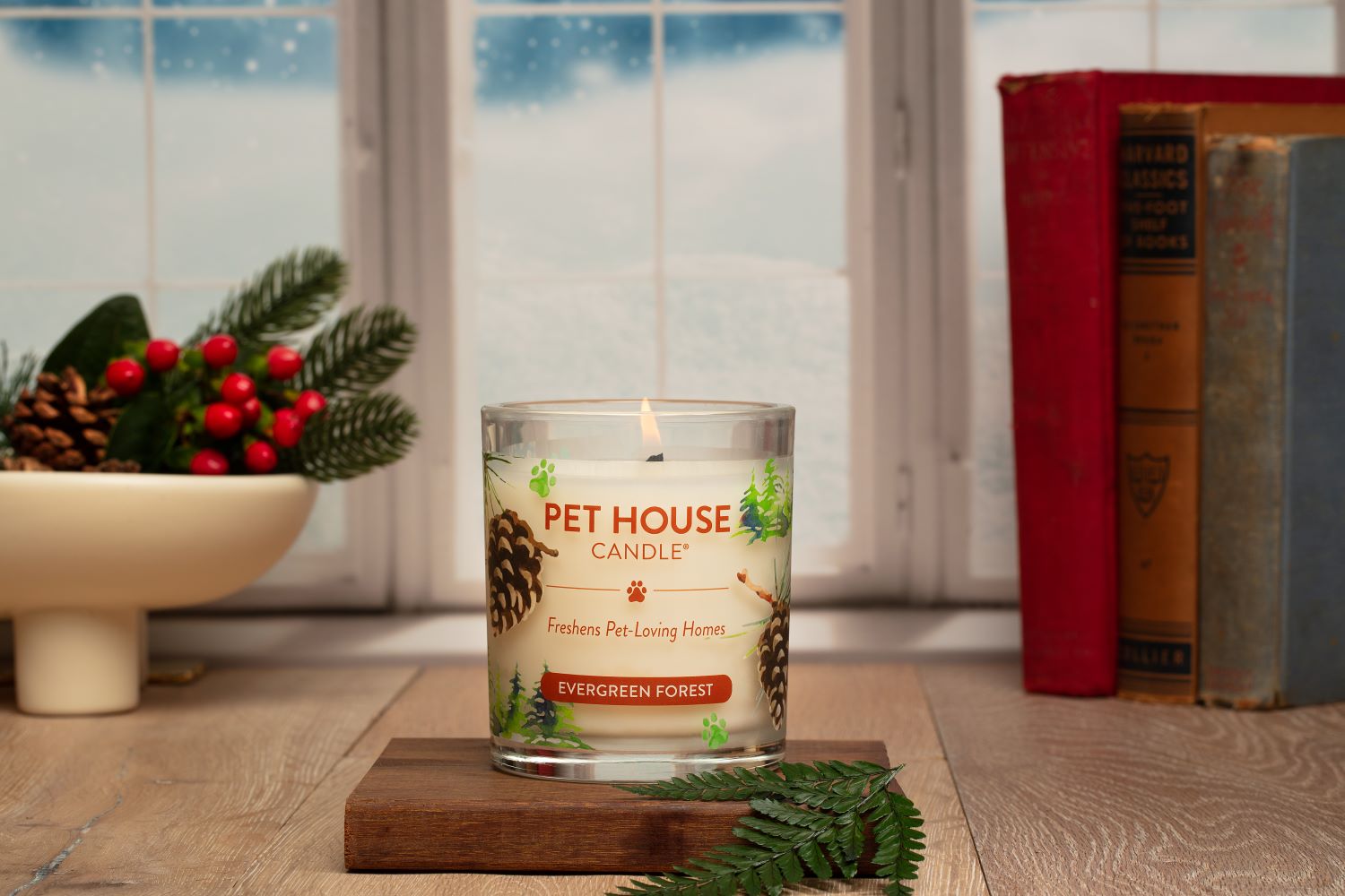 Evergreen Forest Pet House Candle Pet Odor Candle 100 Natural Wax