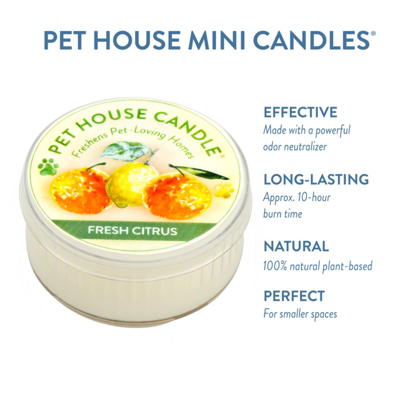 Fresh Citrus Mini Candle infographics