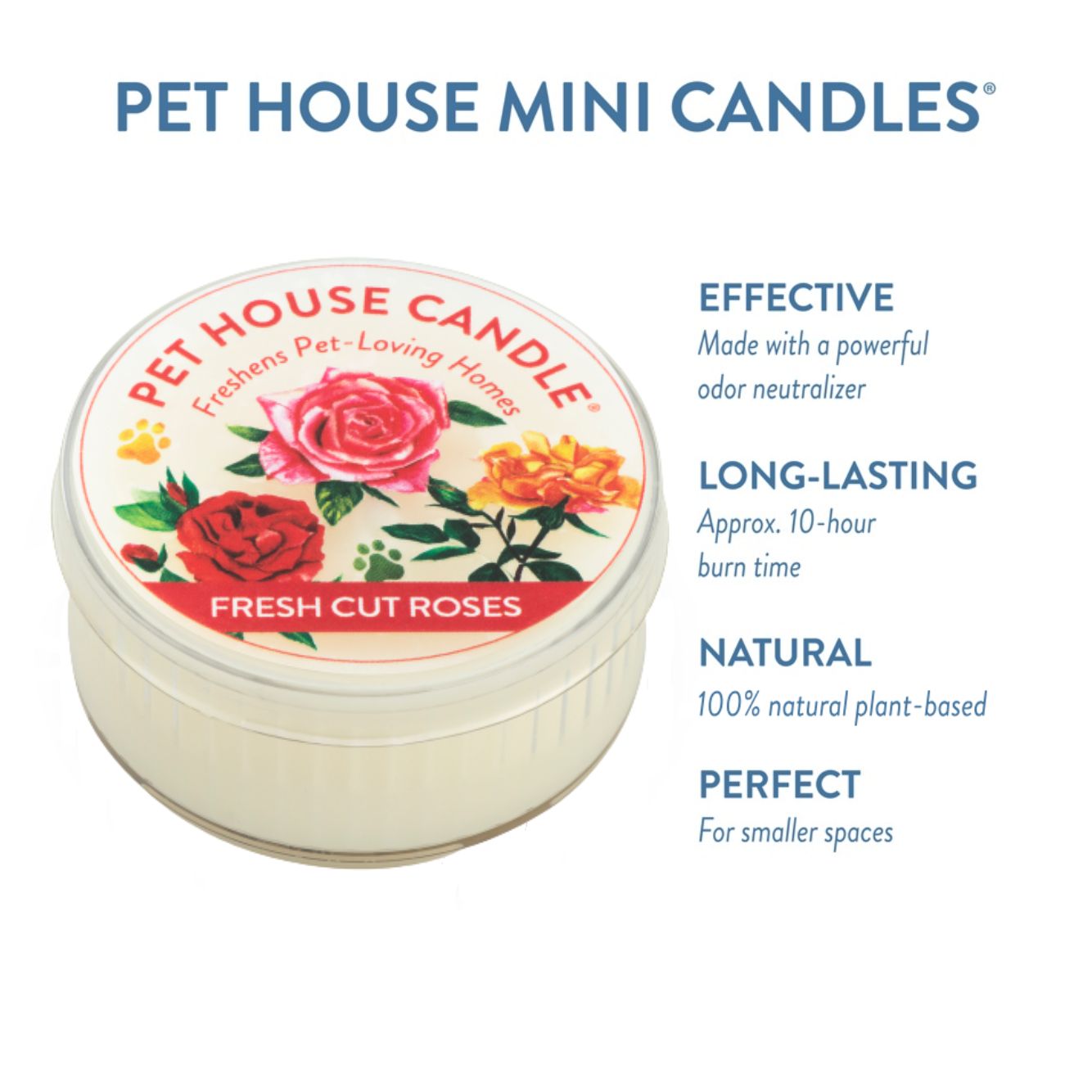 Fresh Cut Roses Mini Candle infographics