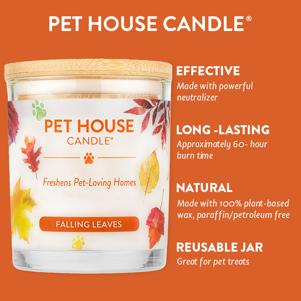 Falling Leaves Candle infographics
