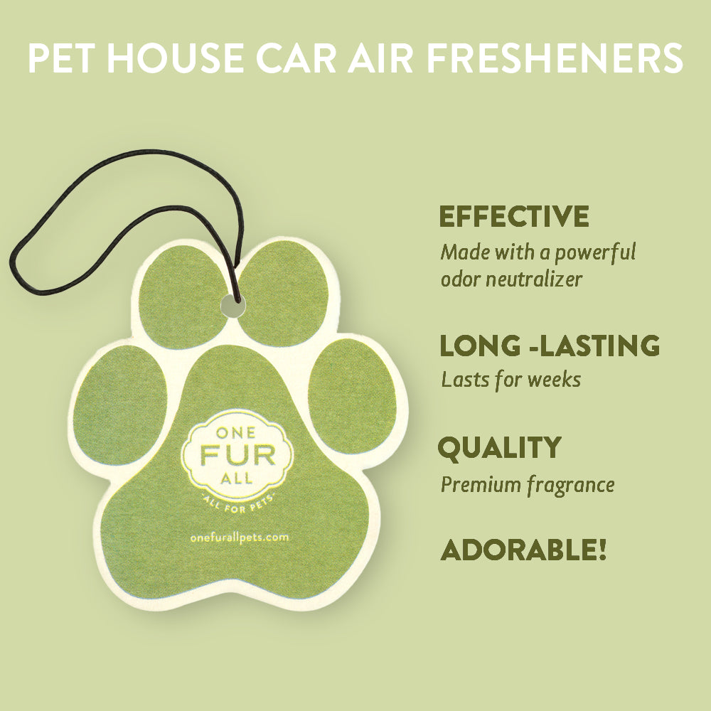 Fresh Citrus Car Air Freshener infographics