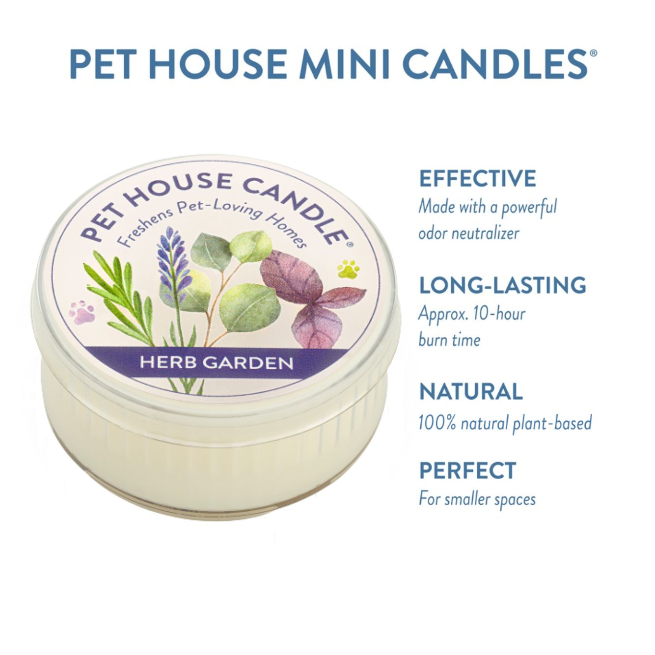 Herb Garden Mini Candle infographics