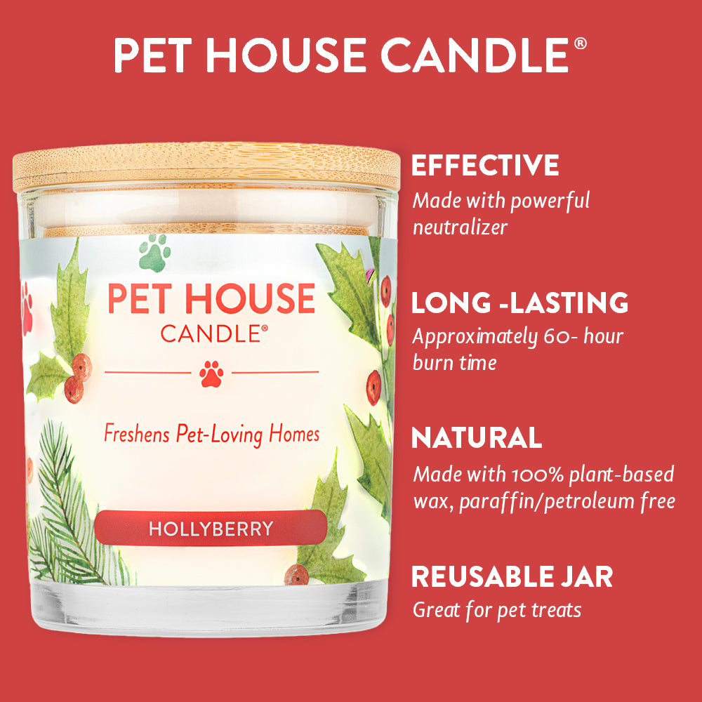 Hollyberry Candle infographics