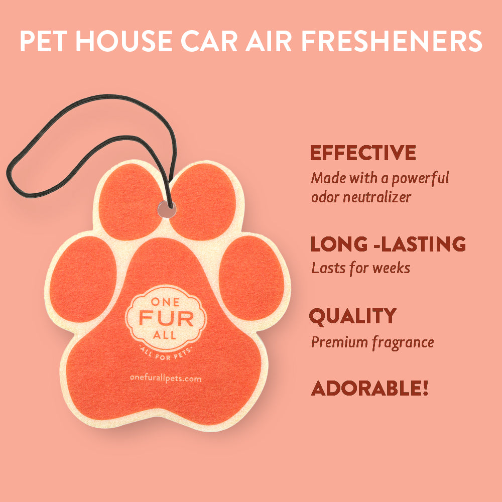 Juicy Melon Car Air Freshener infographics